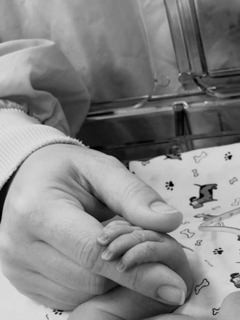 Ege Kökenli ana oldu - FOTO